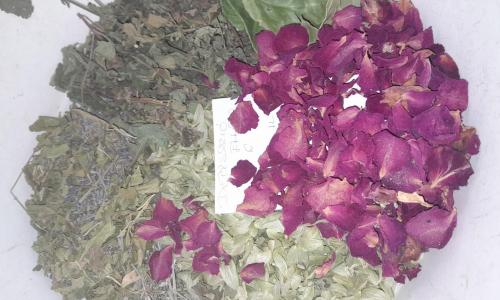 Depresszió elleni szárítmányok