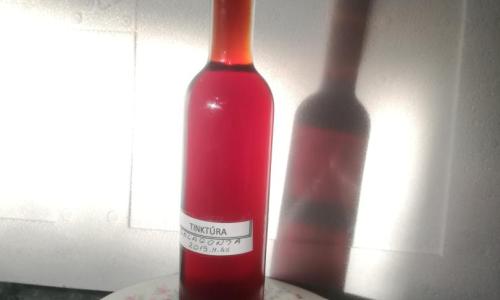 Galagonya gyümölcs