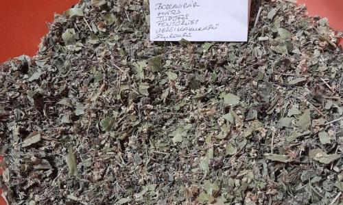 Tüdő tisztító -erősítő