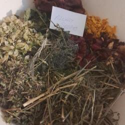 Alvást segítő- szárítmány