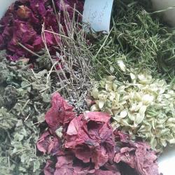 Alvást segítő szárítmányok 1