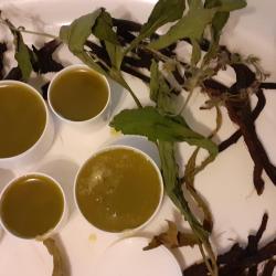 Fekete nadálytő kenőcs gyökérzettel