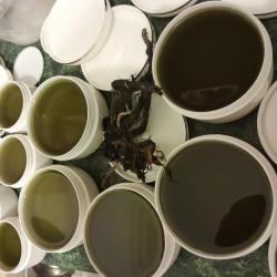 Fekete nadálytő friss kenőcs dermedés előtt