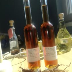 Gyermekláncfű gyökérzet