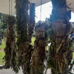 Gyógynövényes füstölők