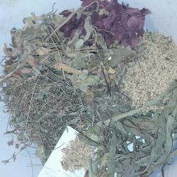 Köhögés csillapításra - szárítmányok